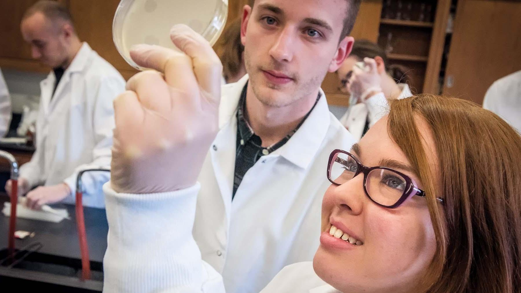 两个学生在生物实验室检查培养皿