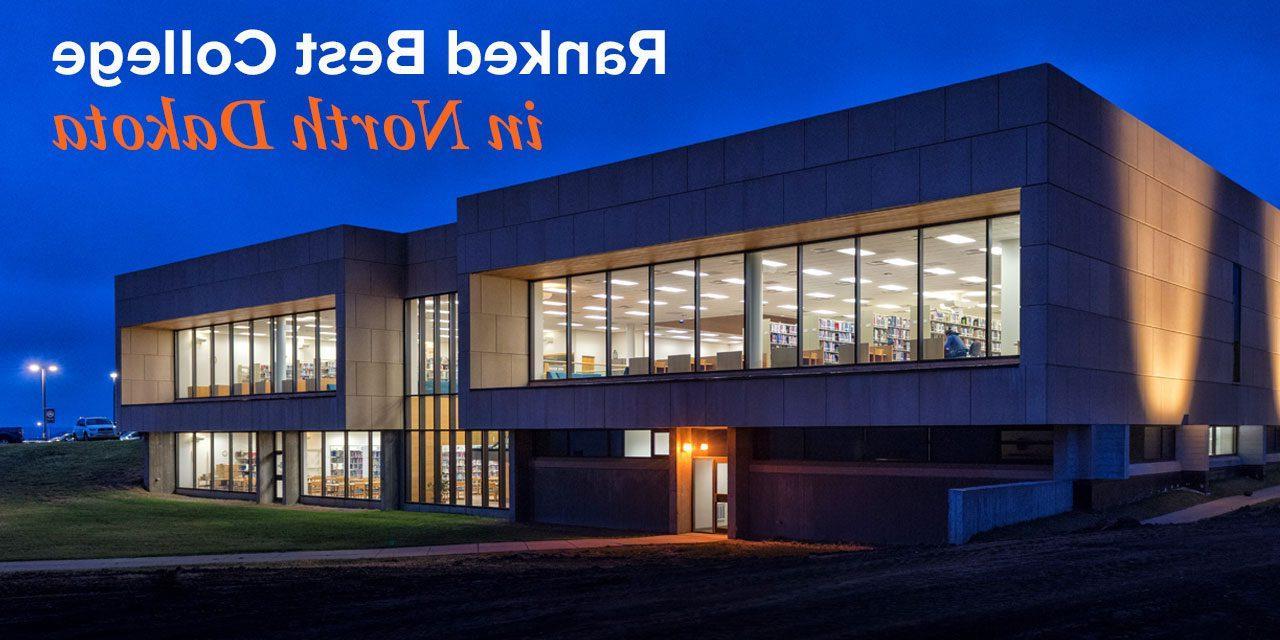 Welder Library at night Graphic